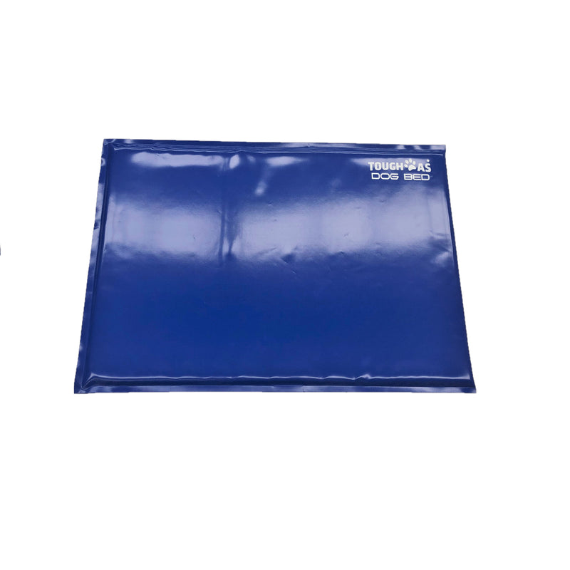 A large blue rectangular dog bed made of PVC.