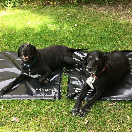Medium Dog Bed